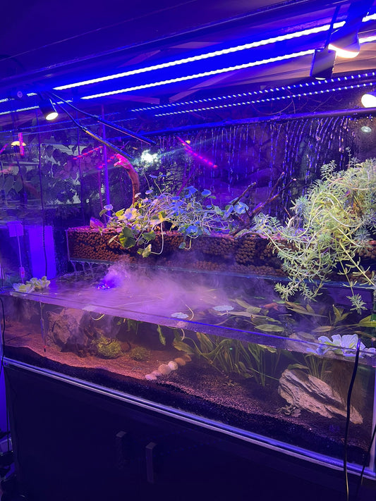 תכנון והקמת פלדריום בבנייה אישית | משפחת דהן