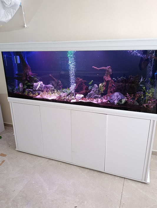 🐠 בניית אקווריום מאפס | אורן, בני ברק