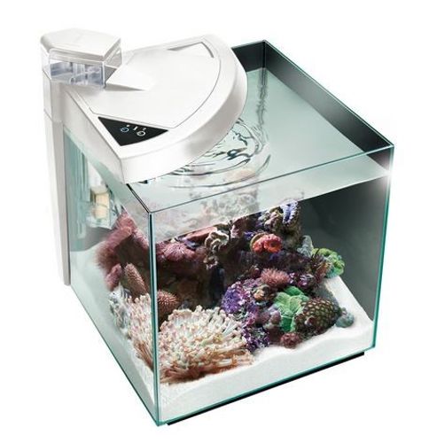 אקווריום מים מתוקים מור 50R שחור/לבן NEWA