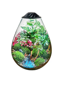 טרריום מקצועי