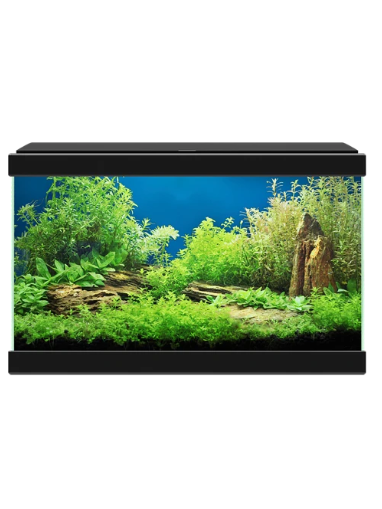אקווריום הכל כלול 40 ס"מ לבן/שחור ציאנו אקווה 20- Ciano Aqua
