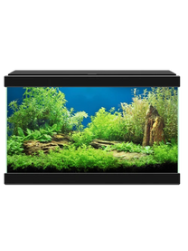 אקווריום הכל כלול 40 ס"מ לבן/שחור ציאנו אקווה 20- Ciano Aqua