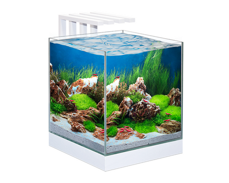 אקווריום הכל כלול 29 ס"מ ציאנו נקסוס פיור 25 - Ciano Nexus