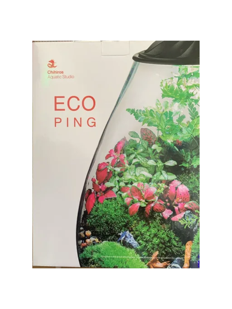 טרריום צמחים סגור