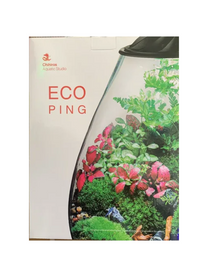 טרריום צמחים סגור