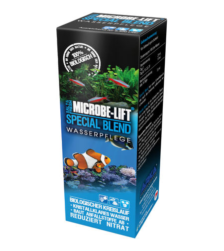 BLEND SPECIAL-ספיישל בלנד