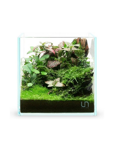 אקווריום UNS 20C Cube זכוכית אולטרה שקופה Opti-White בעובי 5 מ"מ, עיצוב Cube Rimless יוקרתי בנפח 20 ליטר. מושלם לננו אקווריום ואקווסקייפינג