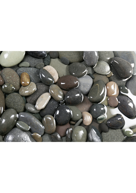 חלוקי נחל אפרפרים-המחיר לק״ג