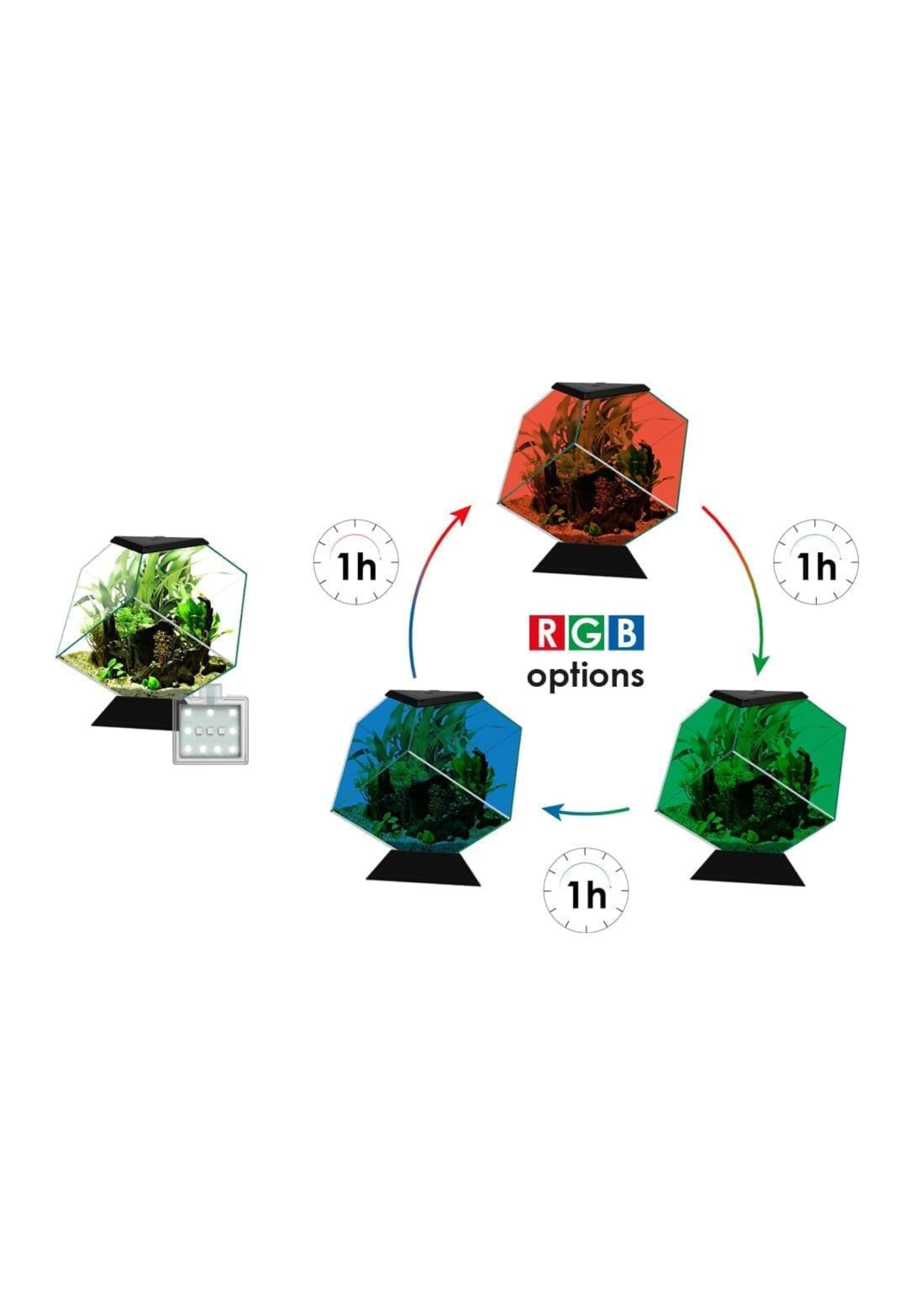 אקווריום שחור/לבן מעוצב בצורת יהלום ציאנו נקסוס 14C כולל פילטר - Ciano Nexus