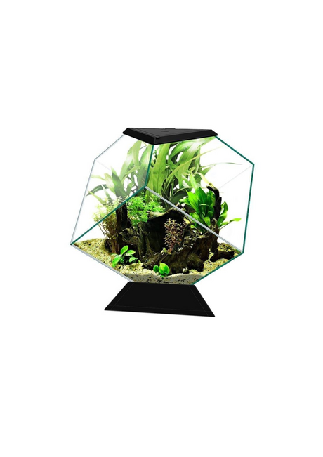 אקווריום שחור/לבן מעוצב בצורת יהלום ציאנו נקסוס 14C כולל פילטר - Ciano Nexus