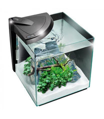 אקווריום מים מתוקים מור 50R שחור/לבן NEWA