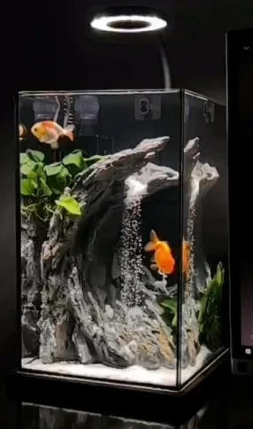 אקווריום מפל חול מובנה