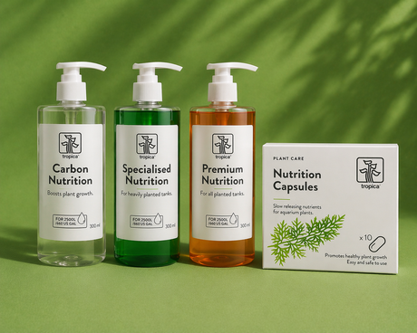 Tropica Carbon Nutrition - תוסף פחמן זמין לחיזוק צמחייה והפחתת אצות