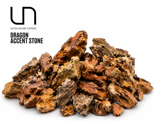UNS Dragon Accent Stone – סלע נאנו פרימיום לסקייפ (Ohko Mini)