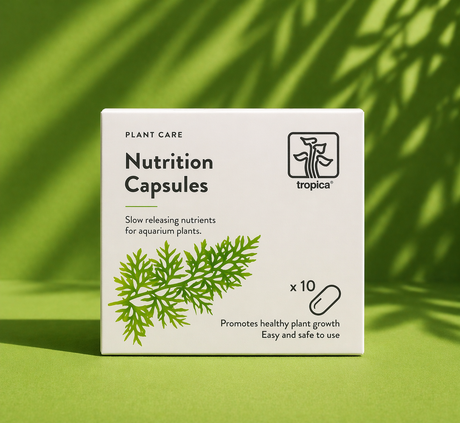 Tropica Nutrition Capsules - קפסולות דישון לשורשי צמחי אקווריום