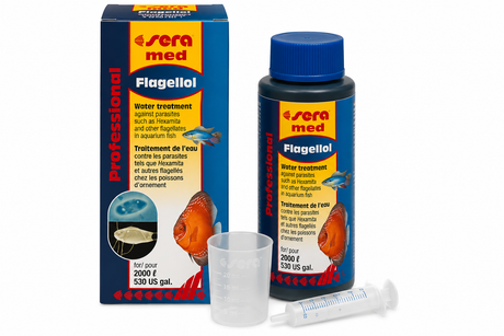 Sera med Professional Flagellol –  מ״ל 50 תרופה לטיפול בטפילי מעיים (Hexamita) בדגי מים מתוקים