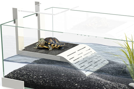 טרריום כולל רציף עם כבש עליה לצבים וזוחלים - Ciano Terrarium TARTARIUM with Ramp for Turtles