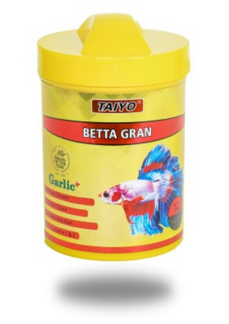 בטא גרן תאיו - betta gran Taiyo