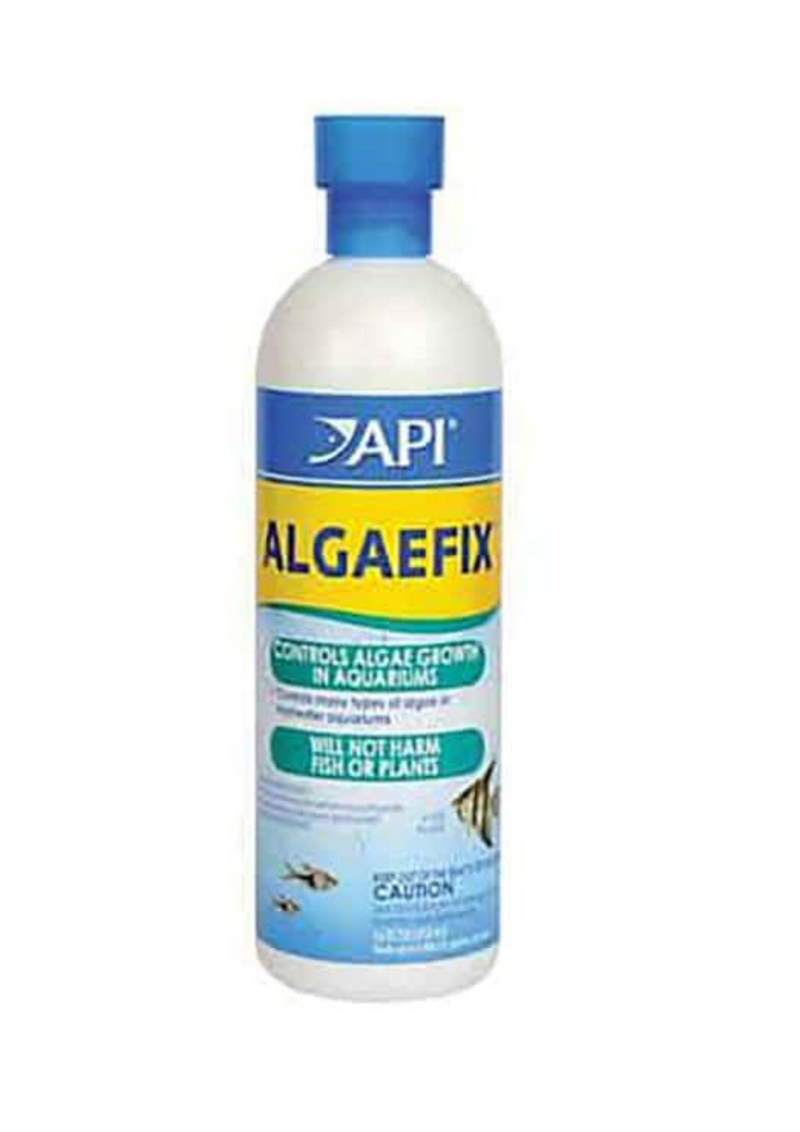 תכשיר לאקווריום מונע ירוקת אלגפיקס ALGAEFIX API