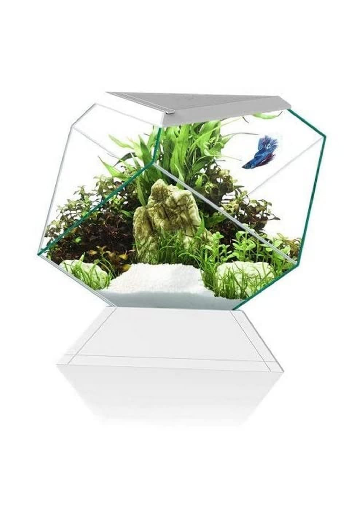 אקווריום שחור/לבן מעוצב בצורת יהלום ציאנו נקסוס 14C כולל פילטר - Ciano Nexus