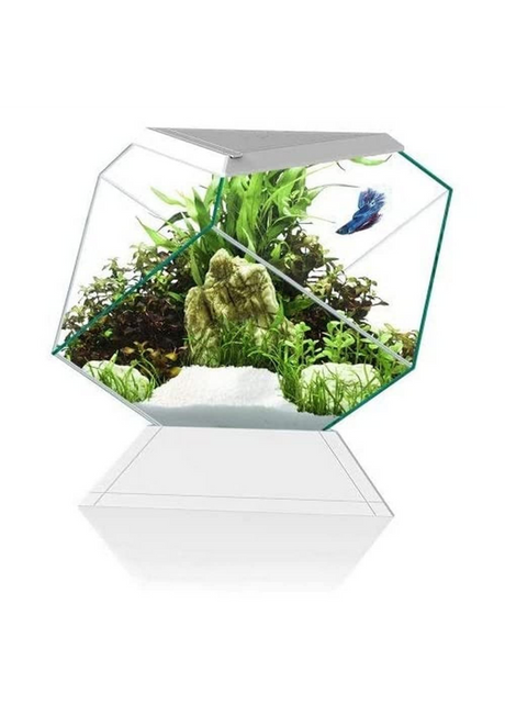 אקווריום שחור/לבן מעוצב בצורת יהלום ציאנו נקסוס 14C כולל פילטר - Ciano Nexus