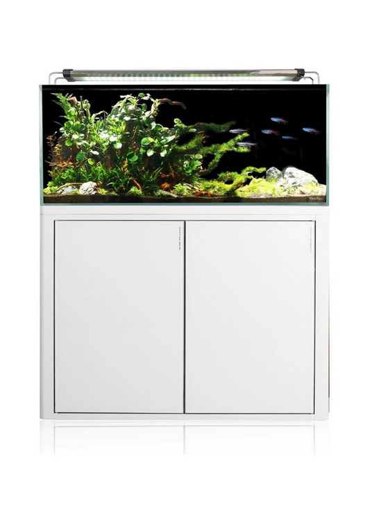 אקווריום 90 ס״מ מסדרת HFC אקווריומי Rimless אקסטרה קליר