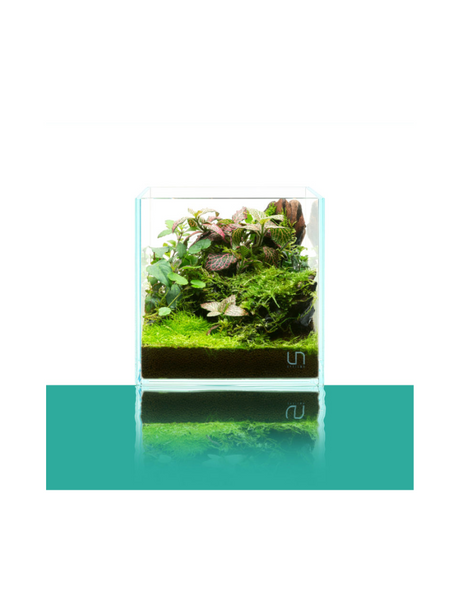 אקווריום זכוכית Cube UNS 16C – Rimless Opti-White בגודל 25 ס"מ