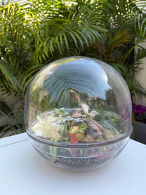 טרריום בועה אקווה אורה