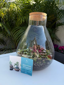 טרריום סגור אלאדין-גדול