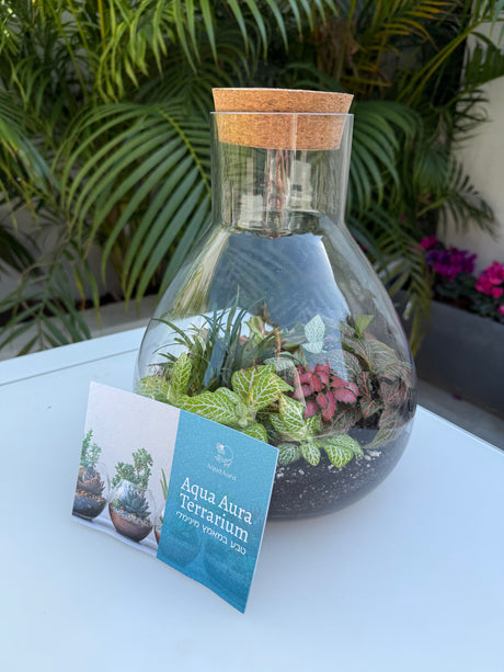 טרריום אלאדין אקווה אורה- בינוני