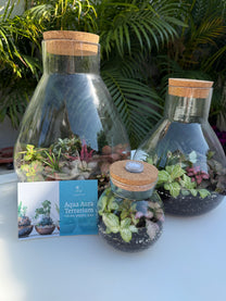 טרריום קטן אקווה אורה