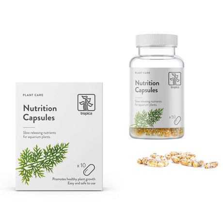 Tropica Nutrition Capsules - קפסולות דישון לשורשי צמחי אקווריום