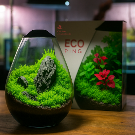 כלי זכוכית מקצועי להכנת טרריום