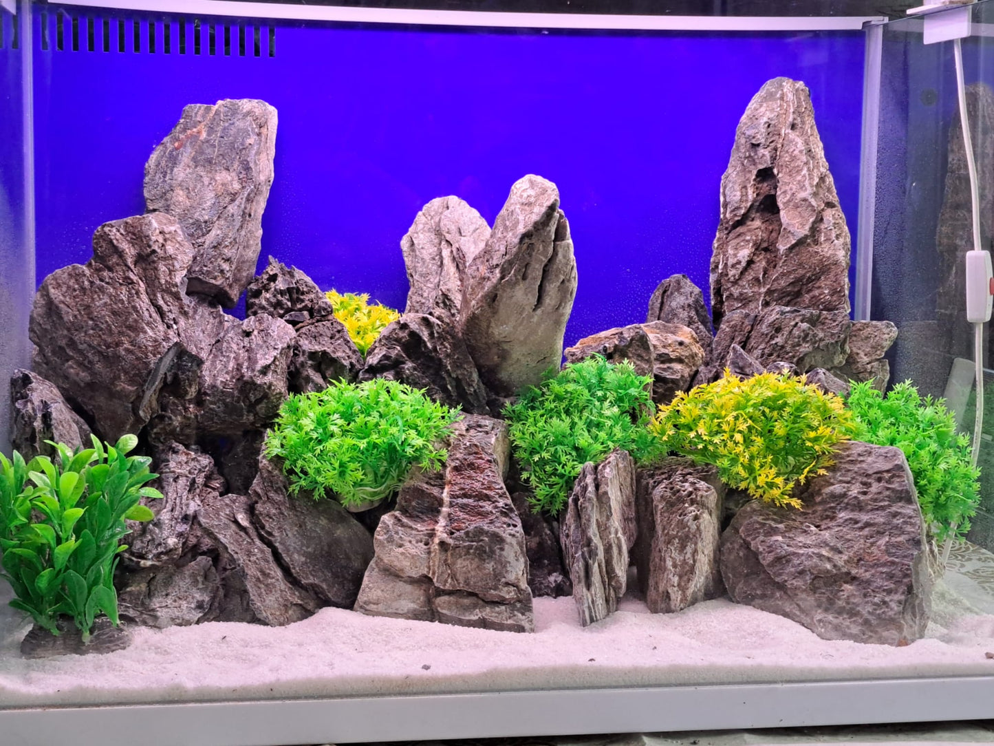 אבן דרקון חומה-המחיר לק״ג