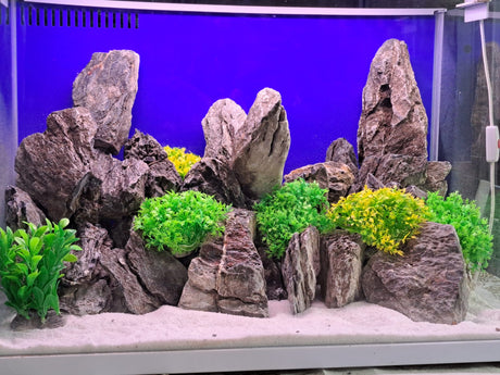 אבן דרקון חומה-המחיר לק״ג