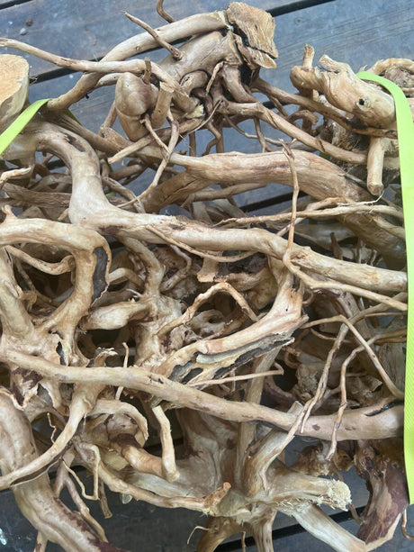 עצי סחף מהאמזונס לאקווריום לפי משקל
