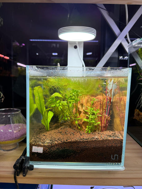 אקווריום זכוכית-Cube UNS 16C