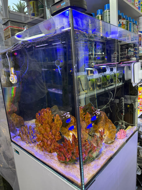 אקווריום Dymax GS Marine Cube 60×60×60