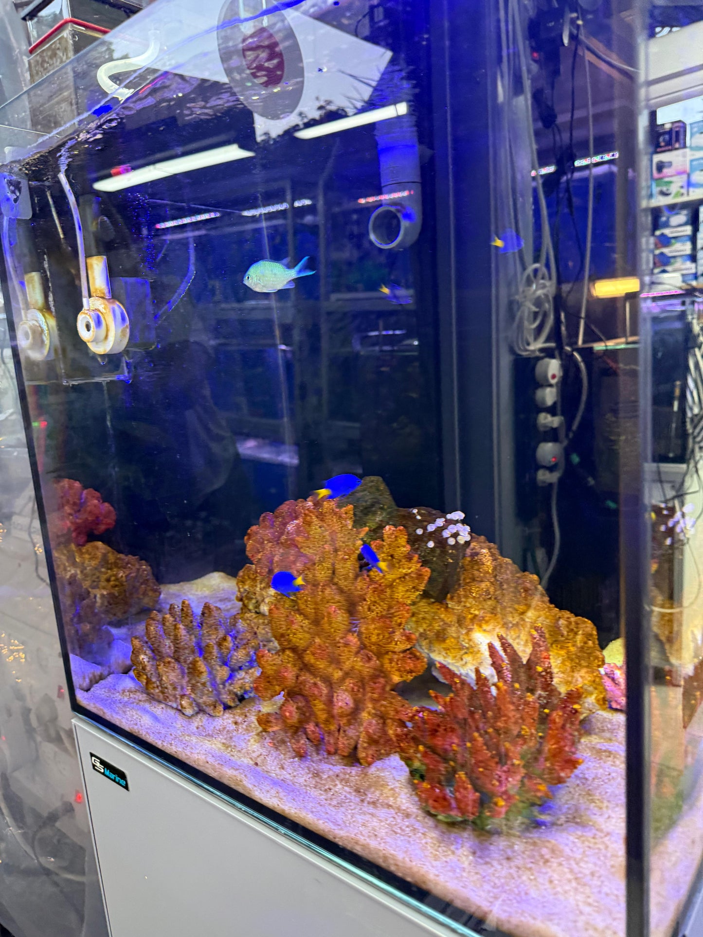 אקווריום Dymax GS Marine Cube 60×60×60