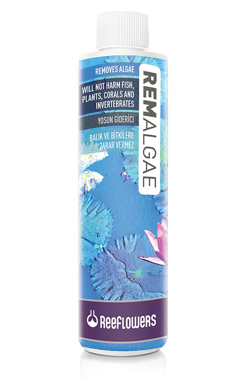מבהיר ומטהר מים- RemAlgae של חברת Reeflowers